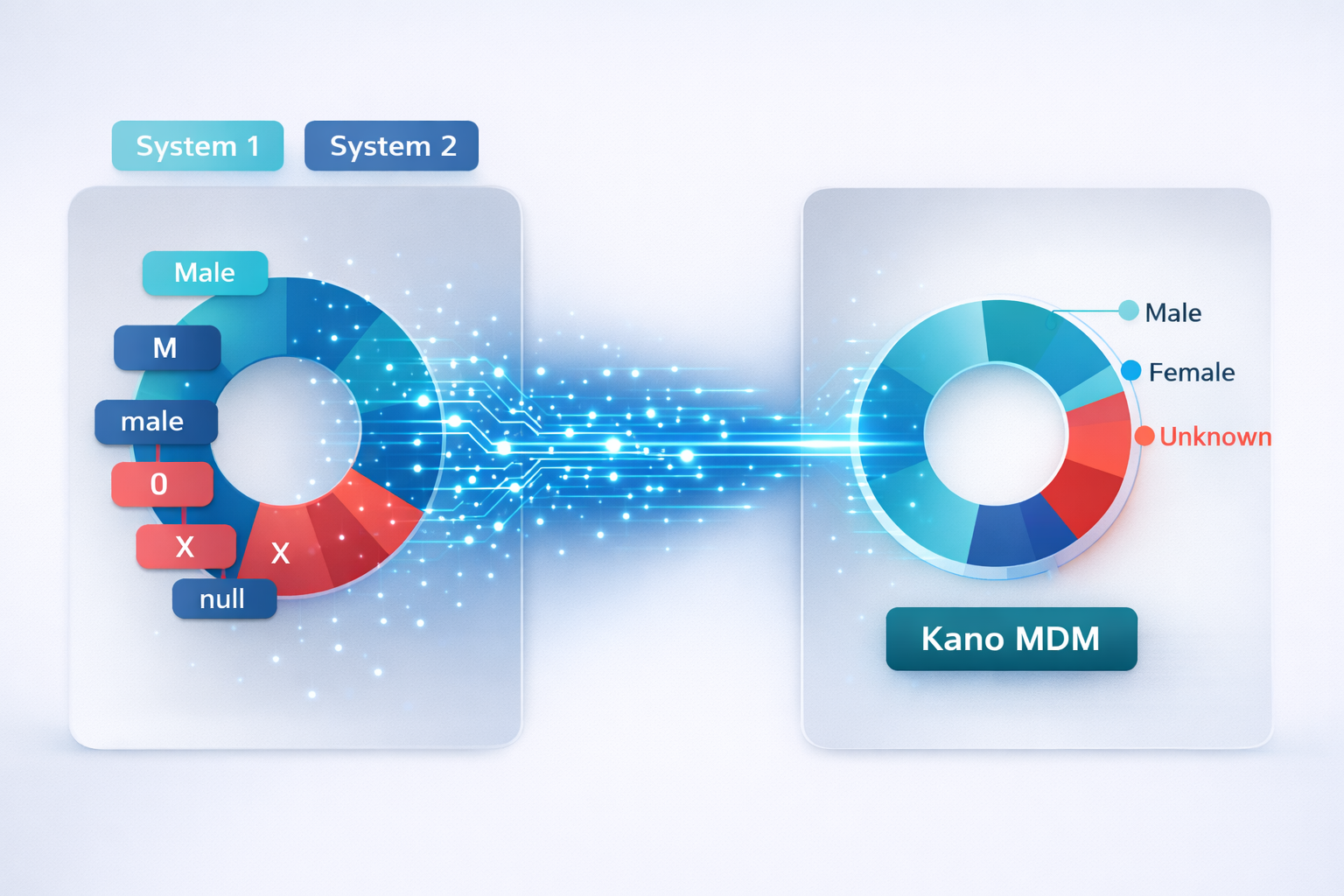 Data normalization process: inconsistent values from multiple systems are standardized into structured categories in Kano MDM.